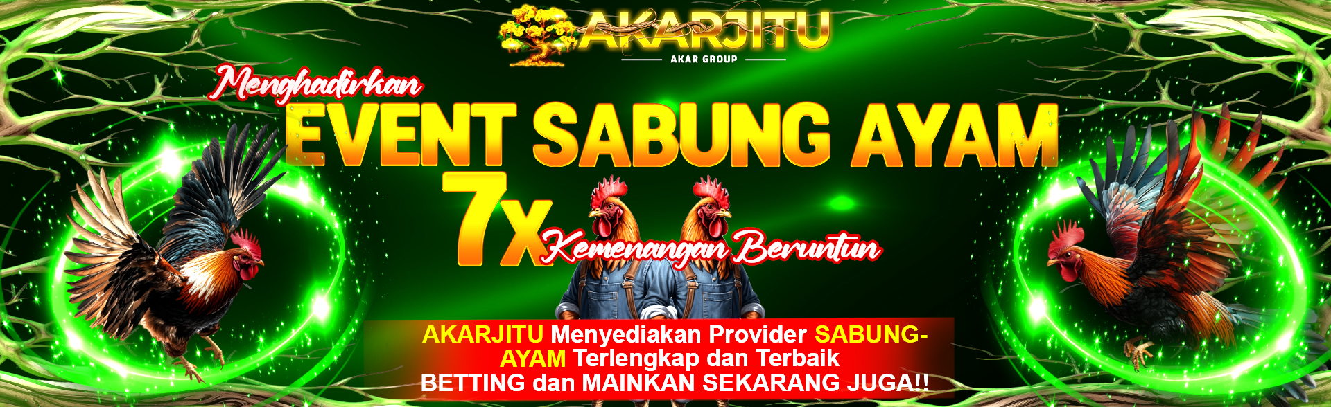 SABUNG AYAM 100% WINSTREAK