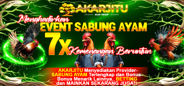 SABUNG AYAM 100% WINSTREAK